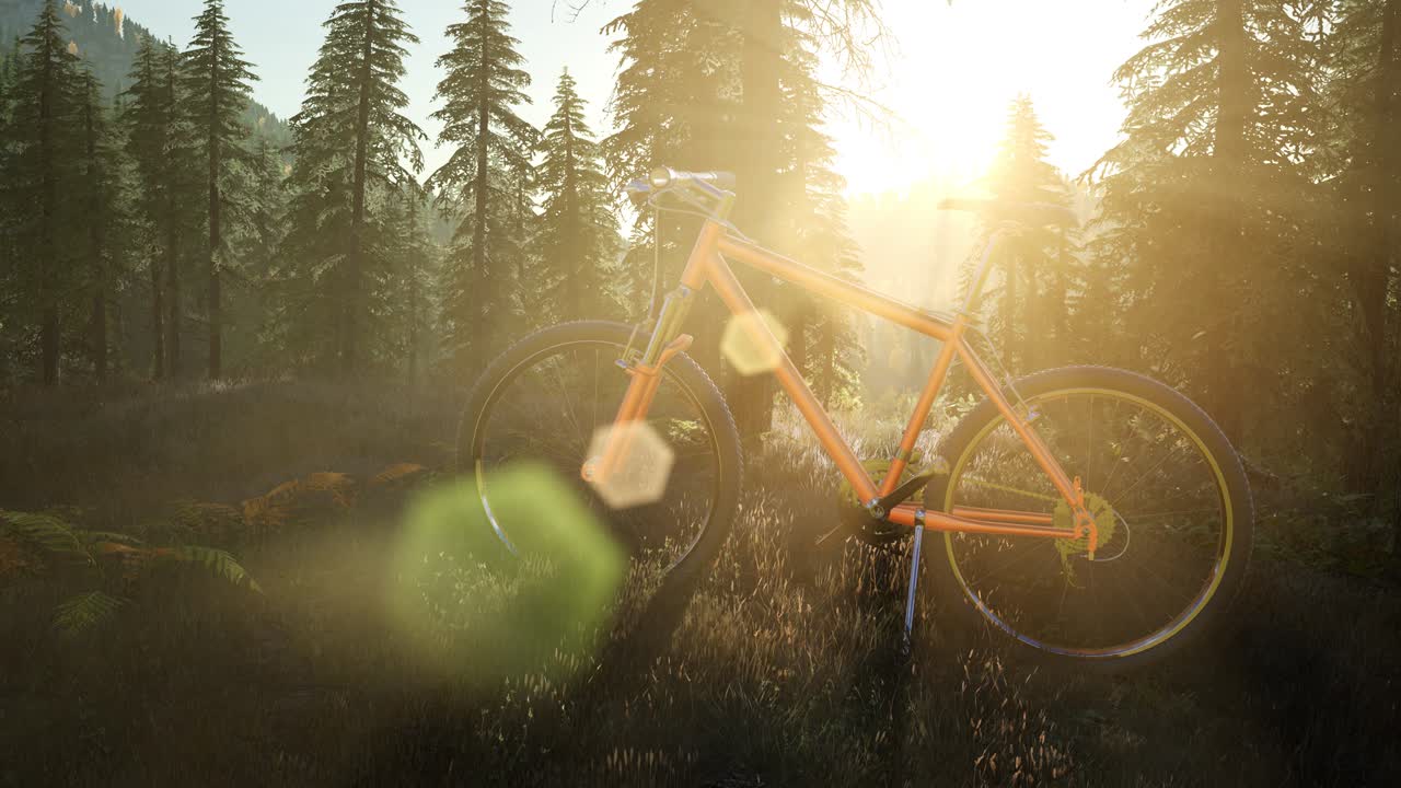 bicycle in mountain forest at sunset