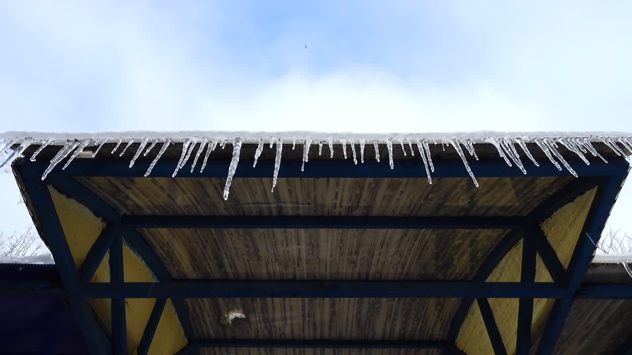 The thawing icicles. Shooting in the winter
