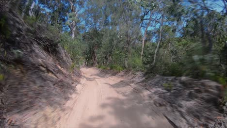 rear facing driving point of view pov travelling along a deserted bumpy sandy inland track, with steep banks thick scrub and overhanging trees - ideal for interior car scene green screen replacement