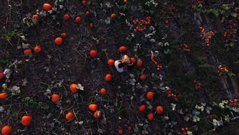 farmers working in field