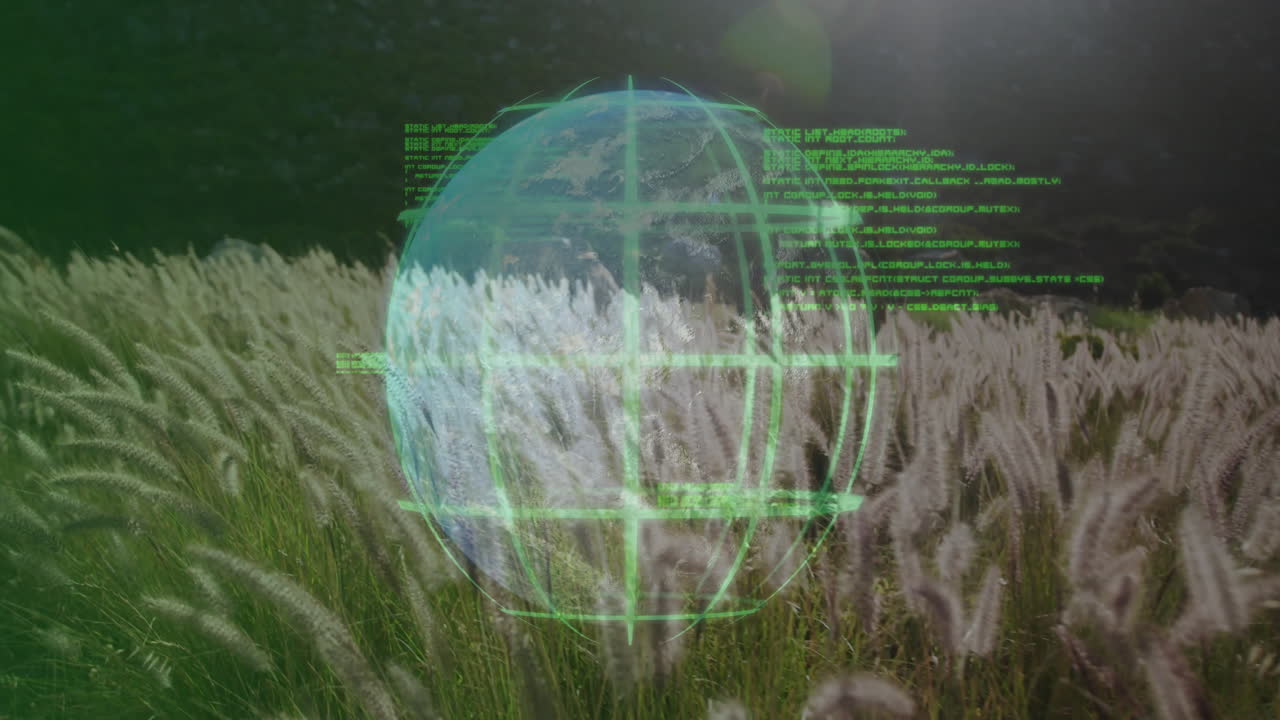 Translucent green holographic globe floating over bending tall grasses, displaying grid lines, code