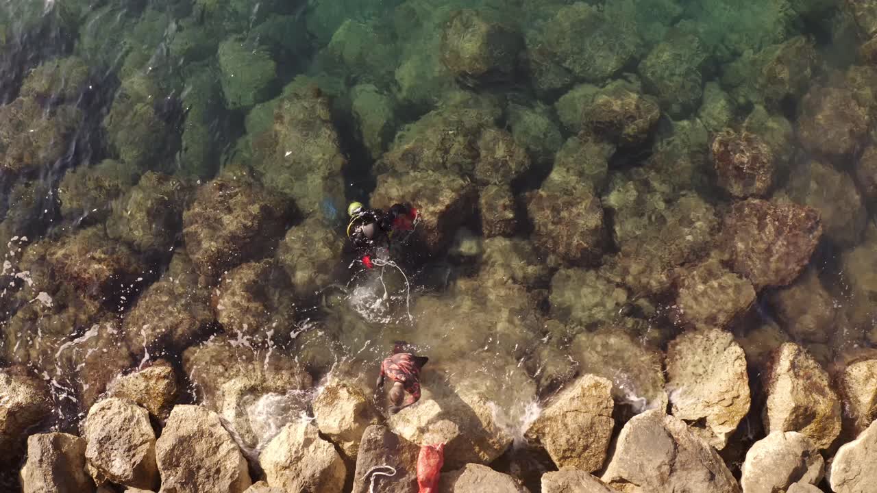 다이버들의 아름다운 모습