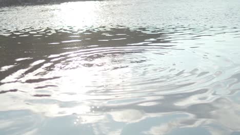 sunlight reflecting on calm river water