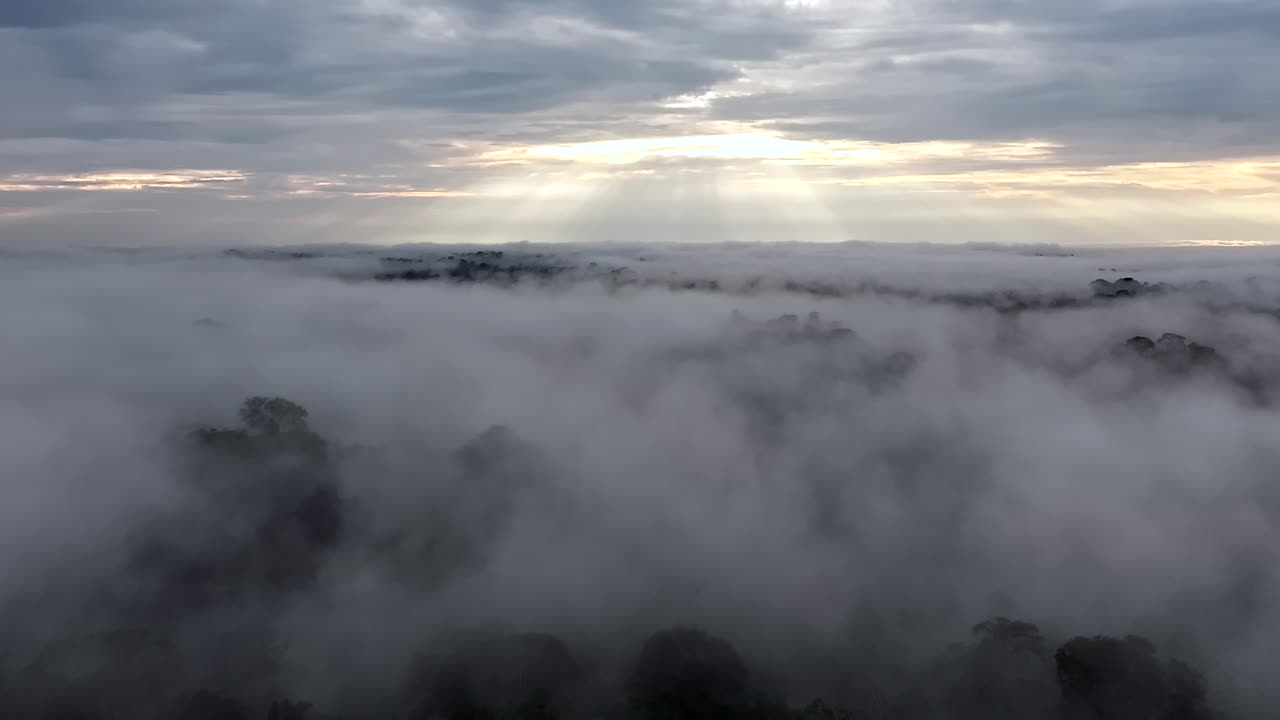 Panoramic Pan Incredible Sun Rays Horizon Amazon Rainforest Haze Trees Clouds Mystical Forward Pan Cuyabeno Ecuador