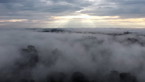 panoramic pan incredible sun rays horizon amazon rainforest haze trees clouds mystical forward pan cuyabeno ecuador