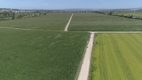 summer crops in european farm land aerial background