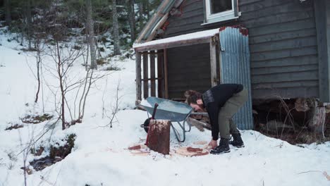 man pushes wheelbarrow and picks up chopped firewoods on snow