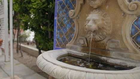 fuente de león en un día nublado