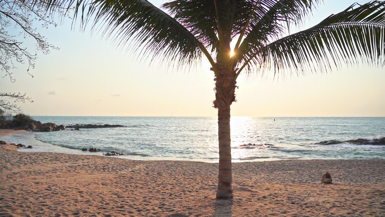 una sola palmera se encuentra en medio de una playa de arena mientras las olas llegan a la orilla
