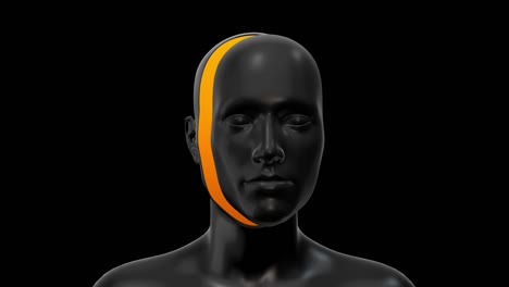 el cuerpo humano negro es un concepto de arte abstracto en color oscuro. un personaje 3d realista, hombre o mujer, en un estilo de movimiento moderno creativo. un diseño psicodélico de colores gráficos mínimos. una animación de bucle de moda brillante.