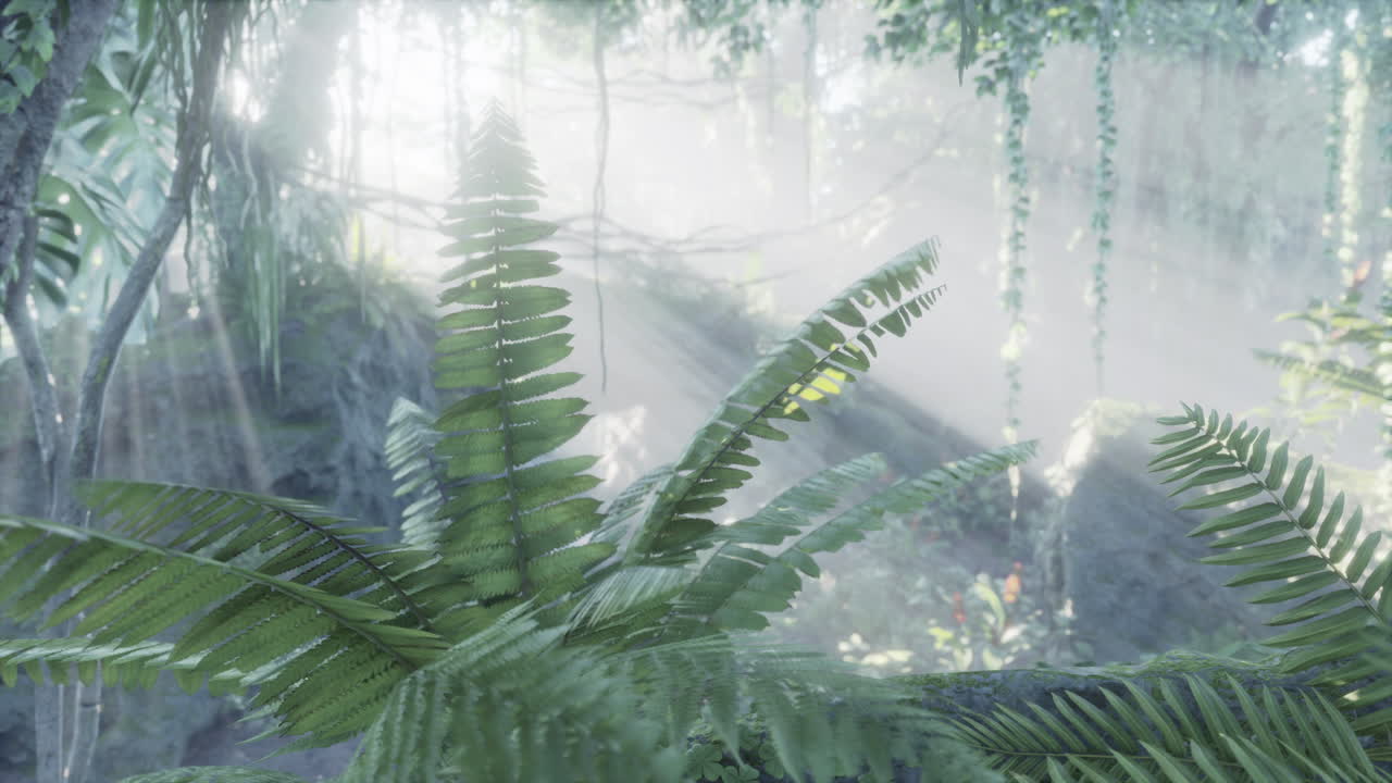 치앙 다오 산맥의 안개가 가득한 정글