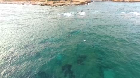 two guys swimming in the reef