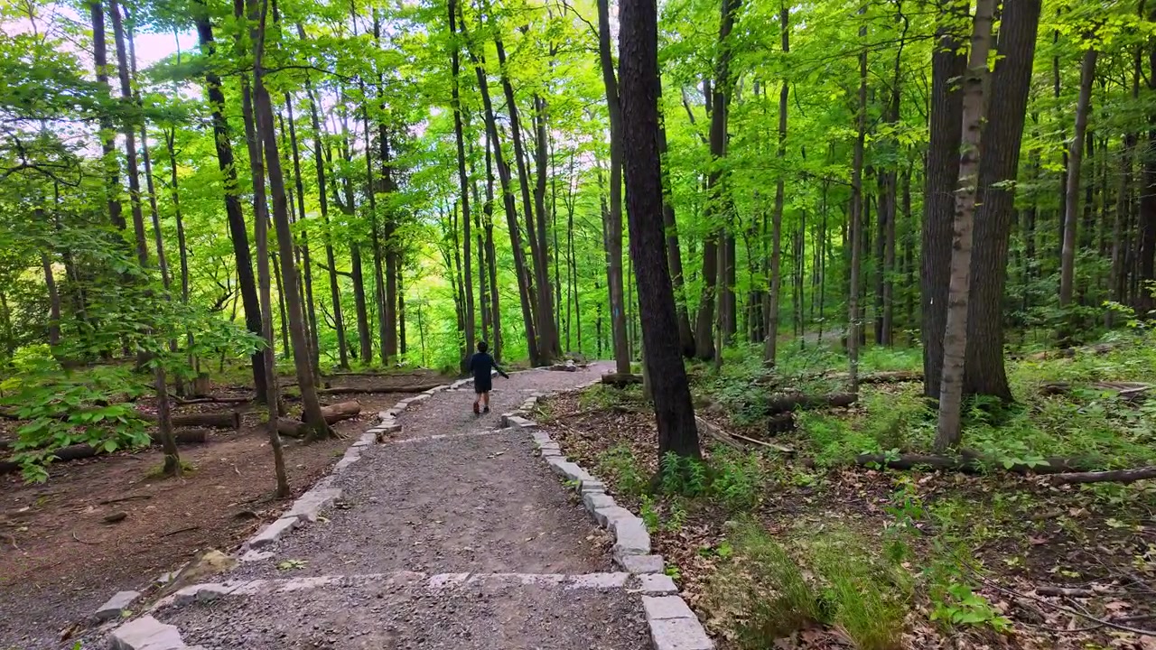 Young boy hiking on a winding forest trail at Rattlesnake Point Conservation Area in Milton, Ontario, Canada