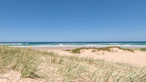 a tranquil sweep across sandy beach dunes.