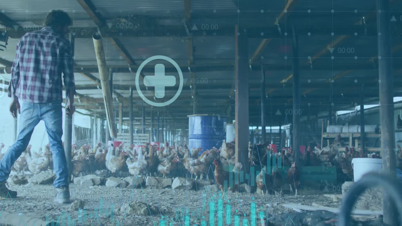 금융 데이터 처리의 애니메이션과 코카시아 사람이 을 먹이는 아이콘.