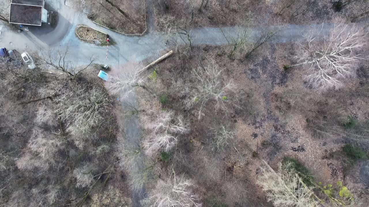 스위스 와이센 의 알프스 겨울 숲 - 공중 에서 내려다 본 모습