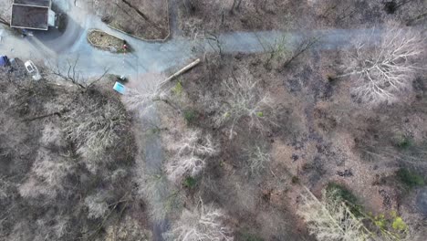 Alpine-Winter-Forest,-Weesen,-Switzerland---aerial-top-down-view