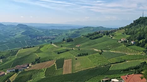 vineyards of the italian countryside