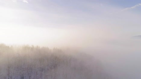 drone flying low through trees covered in snow and a cloud of fog lit up by sunshine