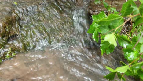 Medite-Imágenes-Tranquilas-Y-Pacíficas-De-4k-De-Agua-Que-Fluye-De-Un-Arroyo-De-Agua-De-Manantial-De-Montaña-Corriendo-Por-Enormes-Losas-De-Piedra-Arenisca-De-Roca-Con-Hojas-De-Plantas-Verdes,-Agua-Potable-Cristalina