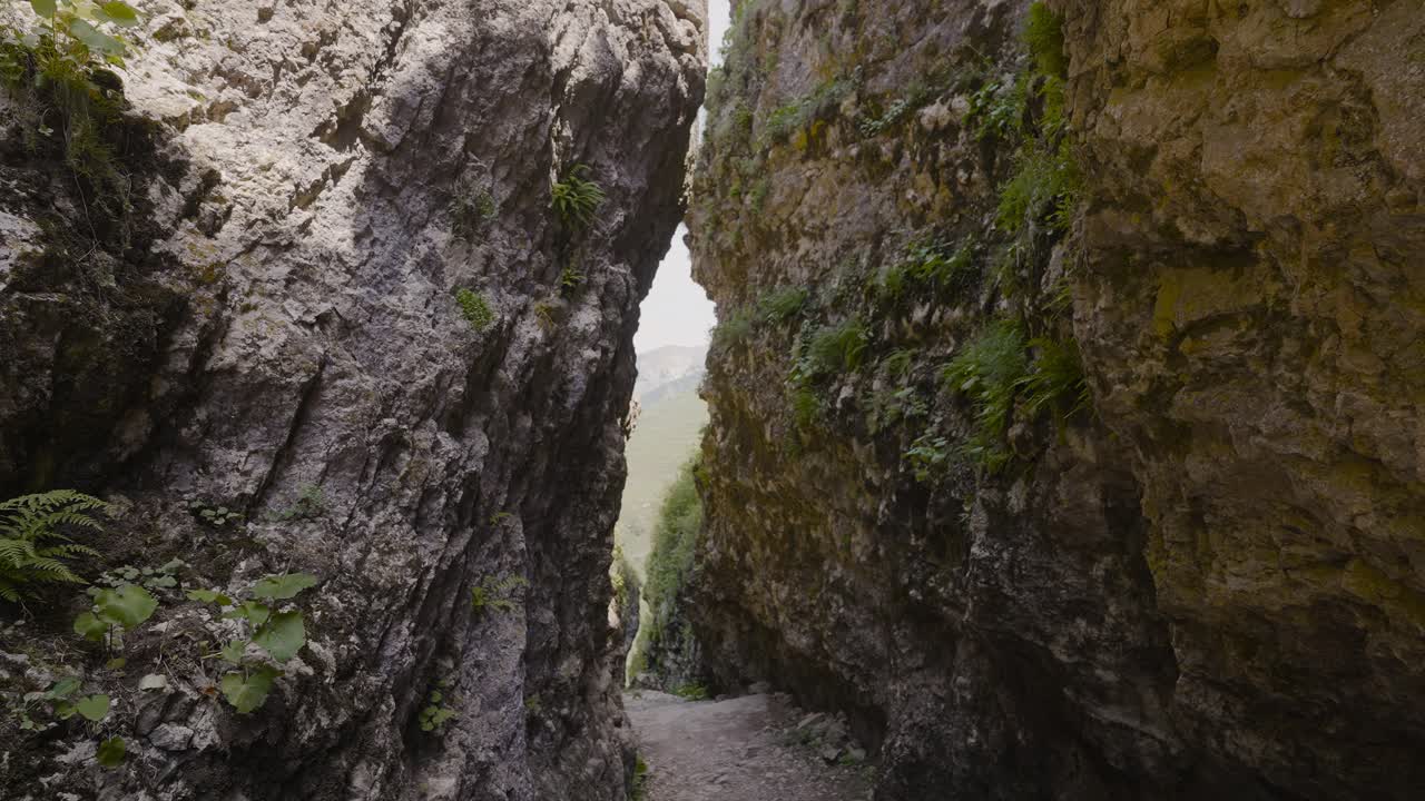 Weg durch einen Rocky-Mountain-Canyon