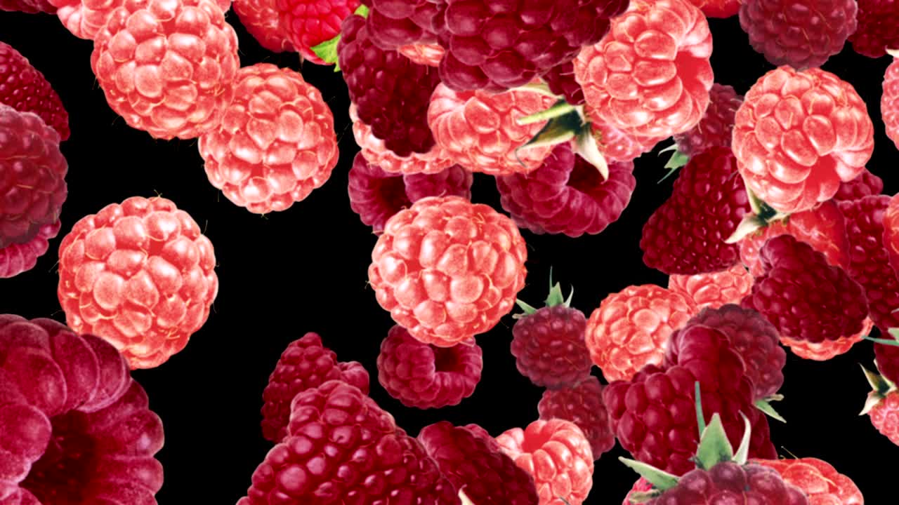떨어지는 라즈베리 배경, 루프, 60fps, 알파 채널