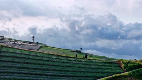 farmers working in terraced fields on a cloudy day