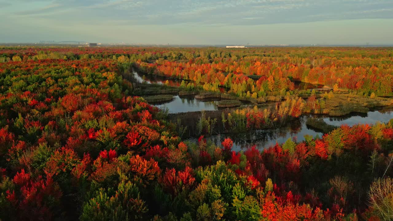 Panorama aerial view about a fall landscape with red and orange foliage covering wetlands, North America, Quebec, Montreal, Canada.