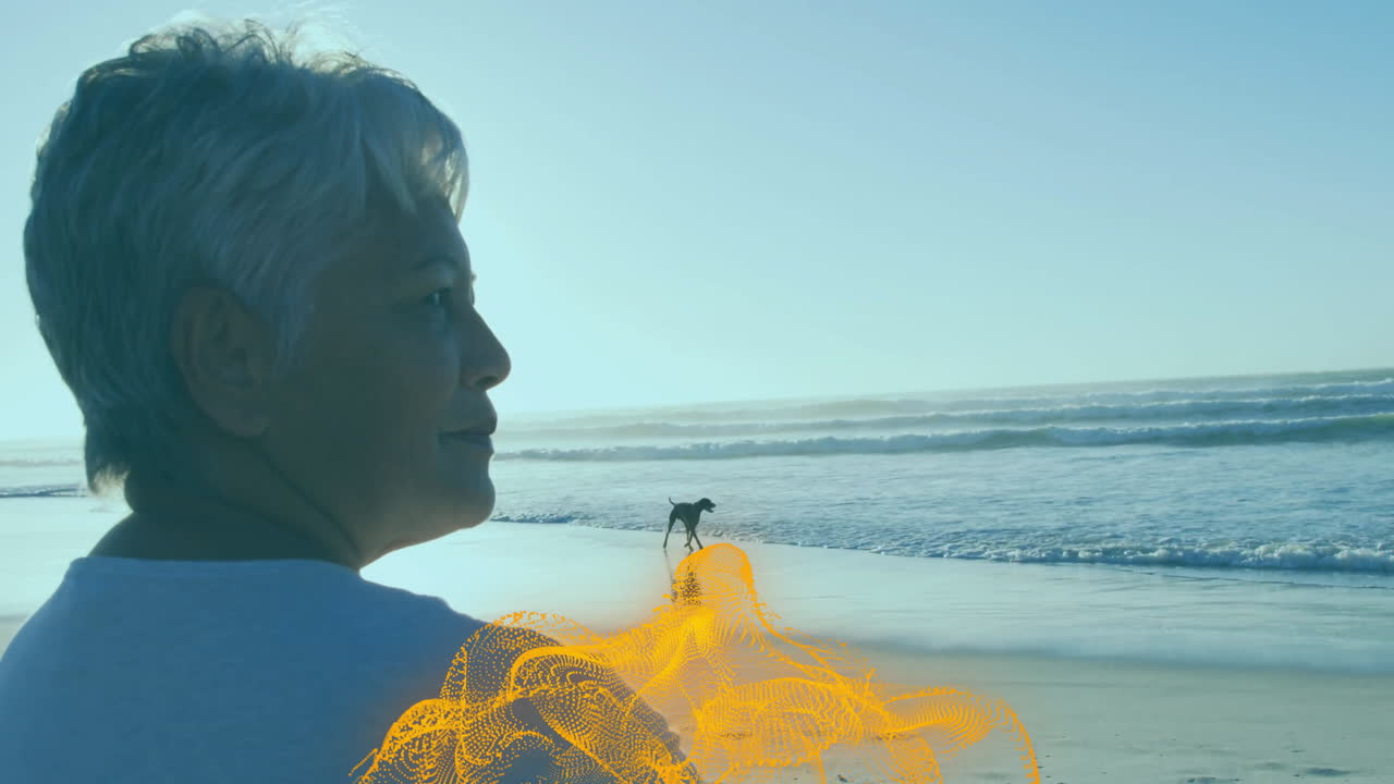 senior woman standing at beach edge, projecting orange horse hologram over wet sand as tech demo