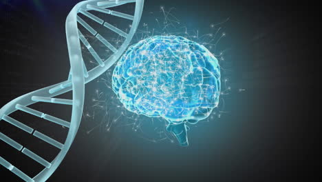 compuesto digital del código genético del cerebro