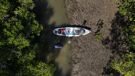 vista alta de una persona con un kayak en lo profundo de un manglar y un humedal de conservación realizando un estudio del ecosistema.