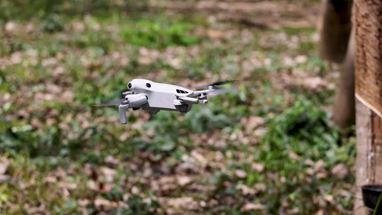 A drone hovers steadily in a lush forest setting in Phuket, Thailand, captured with natural lighting and stable camera work