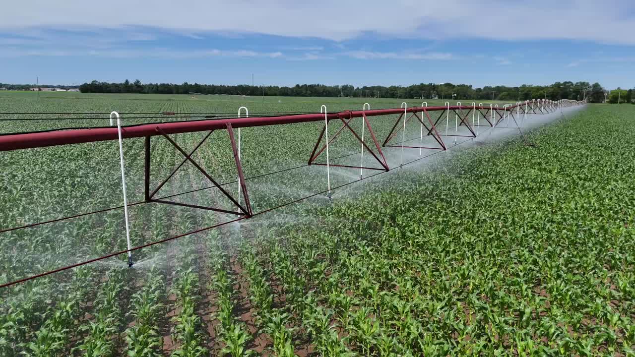 un campo agrícola en el centro de wisconsin es irrigado con un sistema de rociadores