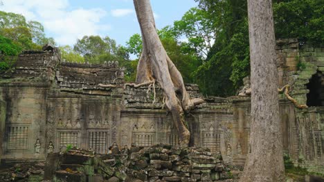 overgrown ruins of preah khan temple in angkor, siam reap, cambodia