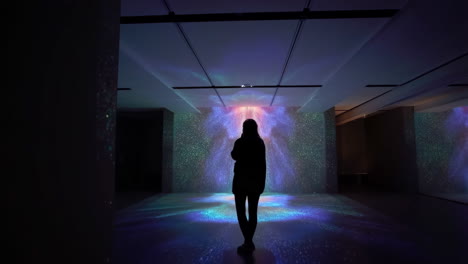 silhouette in immersive light art installation