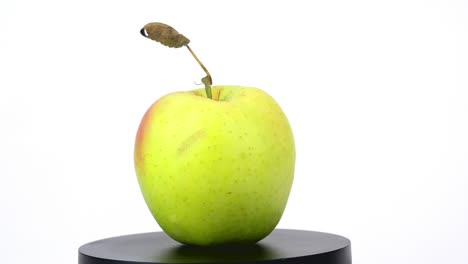 la manzana gira en círculo. video de comida.