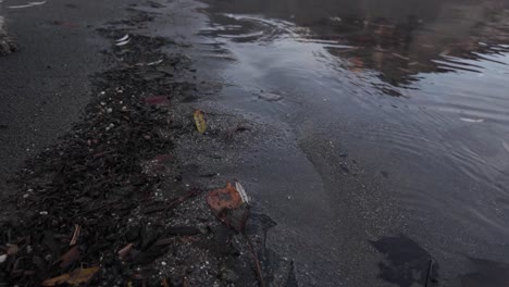 lakeside river bank water ripples waves up-close dark soil sand shoreline