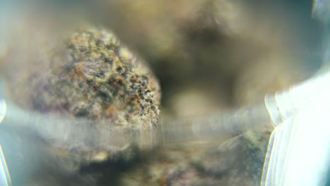 macro video giratorio de una planta de cannabis, cepas híbridas, sativa en un vidrio transparente, bruma púrpura, flor de marihuana, cámara lenta 120 fps, iluminación de estudio, borrón mágico, movimiento de inclinación hacia arriba suave