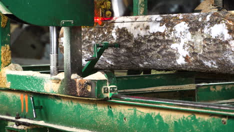 automic lumbering with bandsaw sawing log with laser detection system