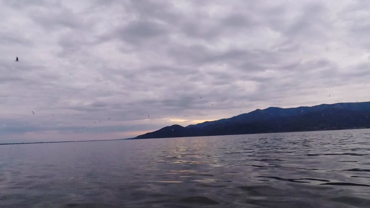 시원 한 날 호수 위 를 날아다니는 새 들