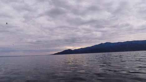 Birds-flying-over-a-lake-on-a-couldy-day