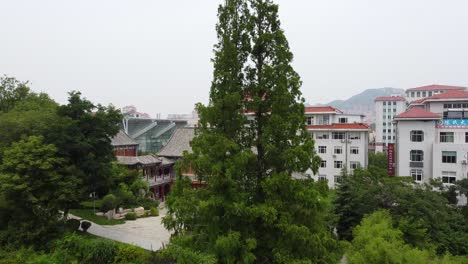 Vista-Aérea-Ascendente-Rápida-Del-Paisaje-Urbano-Del-Distrito-De-Huancui-Desde-Un-Hermoso-Estanque-De-Jardín-Chino-En-Weihai,-China