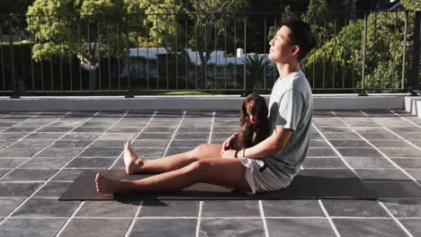 relaxing outdoors, asian man sitting with dog on patio enjoying sunlight