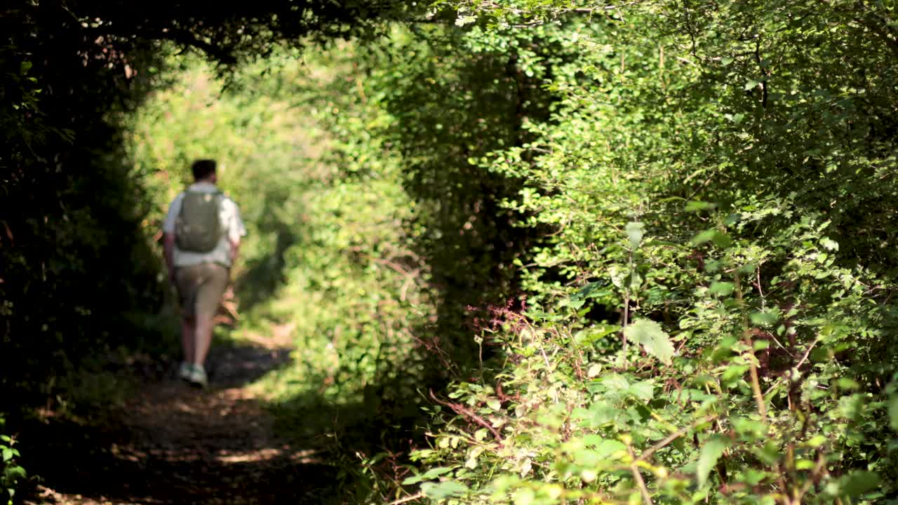 숲길 에서 산책 하는 사람