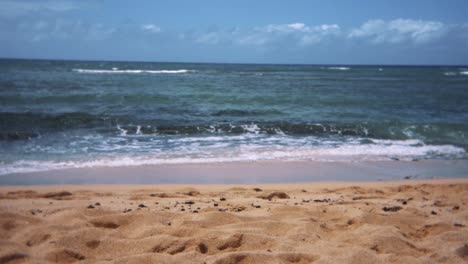 cromwells sea in kahala, oahu, hawaii