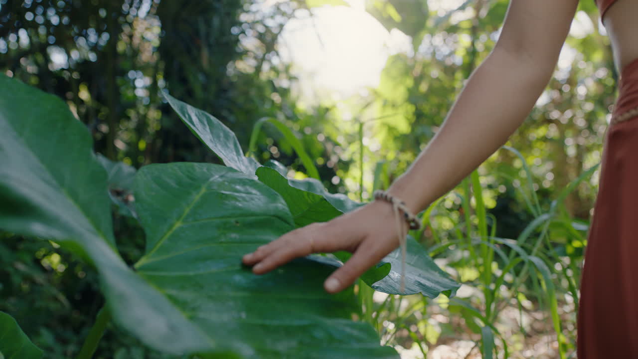 cerca de la mano de la mujer tocando las plantas caminando en el bosque explorando la exuberante selva tropical disfrutando de la belleza natural 4k