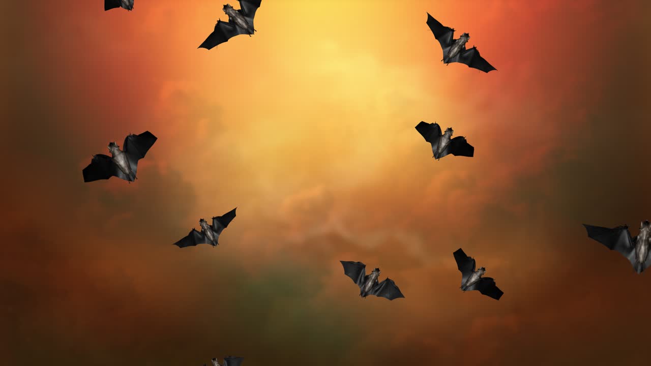 хэллоуинская ночь фестиваль летучие мыши группа или стадо летучих мышей переход 4k цикл анимации