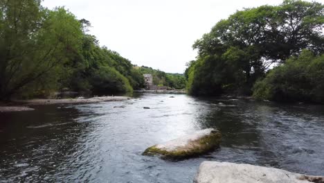 Drohnenschuss-Fliegt-Tief-über-Fluss-In-Englischer-Landschaft-Mit-Wald