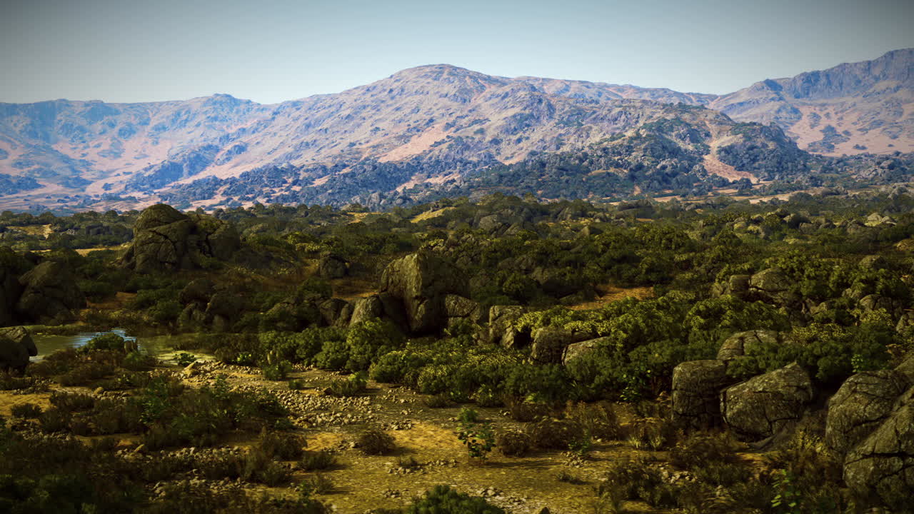 푸른 나무와 바위가 있는 산악 풍경