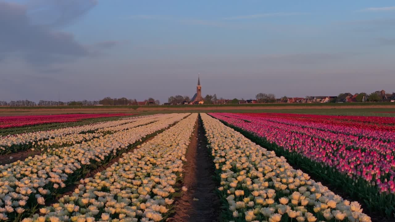 Vista aerea di campi colorati che circondano un'antica chiesa nella campagna olandese.